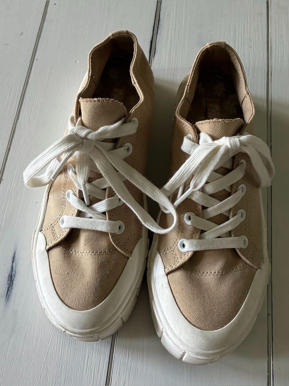 Matisse Beige Floral Canvas Slip-On Sneakers